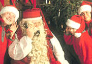 noel 2011