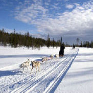 sejour laponie finlandaise